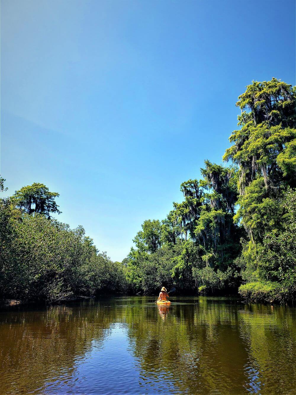 alt text = "a distance ahead a kayaker at jonathan dickinson state park on the loxahatchee river"