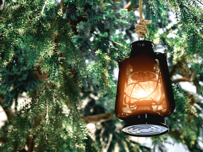 alt text = "lantern hanging from pine tree"