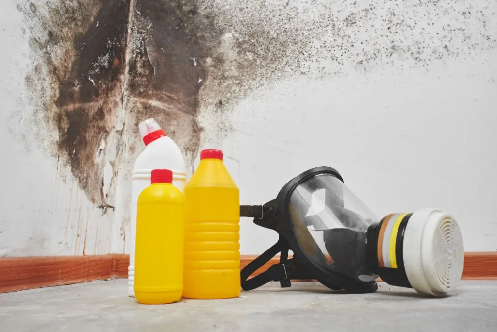 Mold Cleanup - Real-ativity
