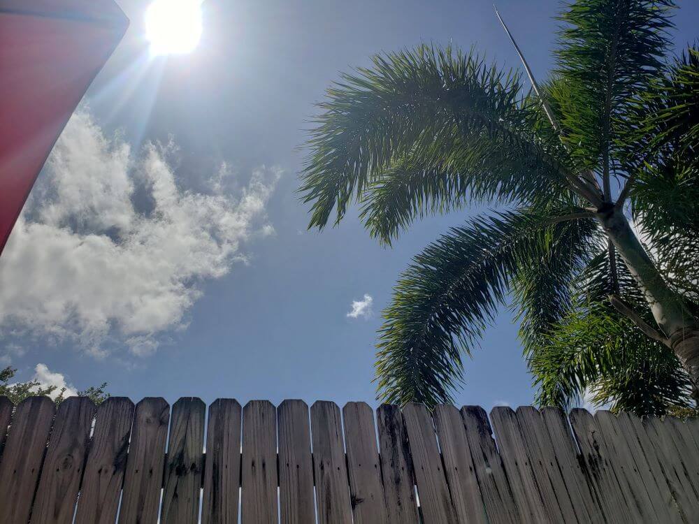 alt text = "looking up edge of a patio umbrella sun shining fence and palm tree"