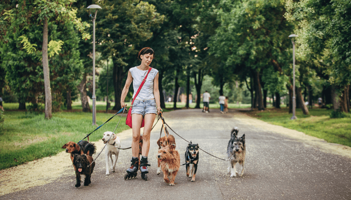 alt="Woman on roller blading with her dogs in a dog-friendly Broward County park."