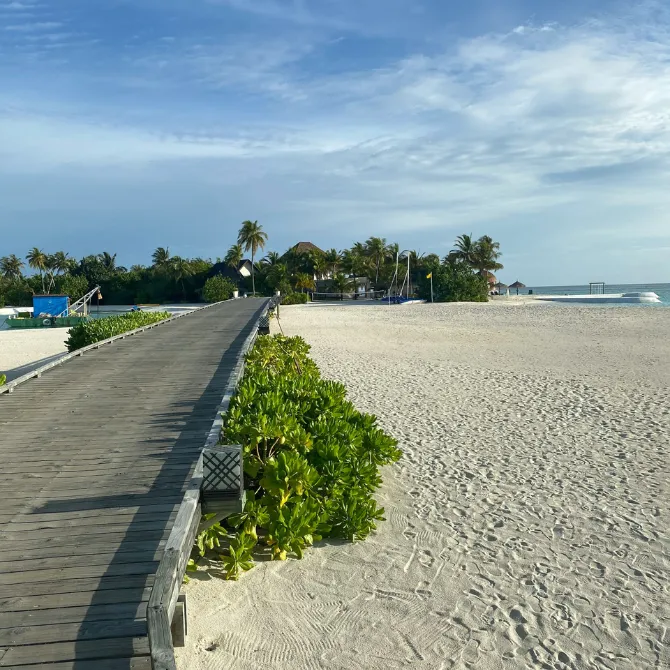 Luxury waterfront estates along Millionaire’s Mile in Hillsboro Beach with yachts and ocean views