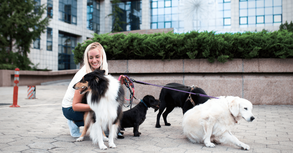 South Florida dog walkers providing professional dog walking and pet sitting services