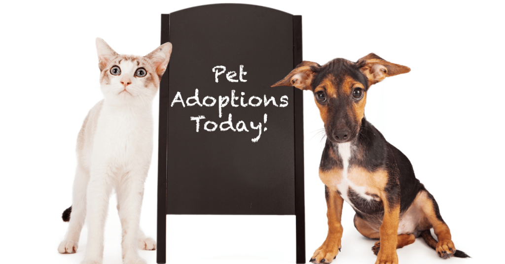 alt= "Pet adoptions today sign links to pet rescues and pet adoption centers in South Florida"