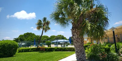 Pointe-Overlook-Pool - Real-ativity_11zon