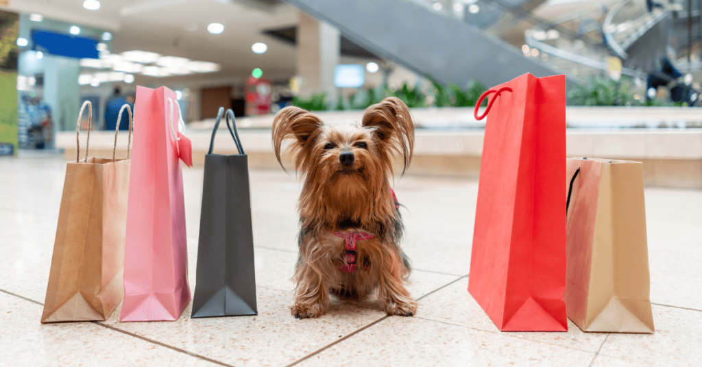 South Florida pet supply stores offering pet food, toys, grooming, and accessories