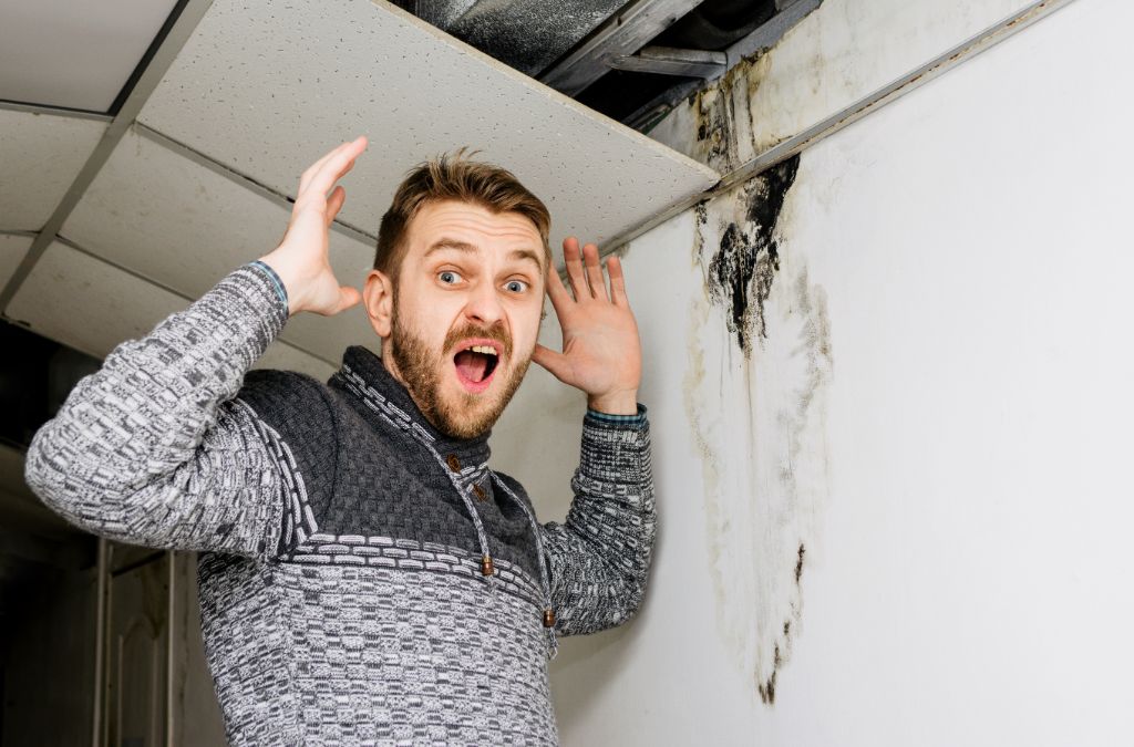 alt= "Man observing black mold links to definition of a mold inspection"