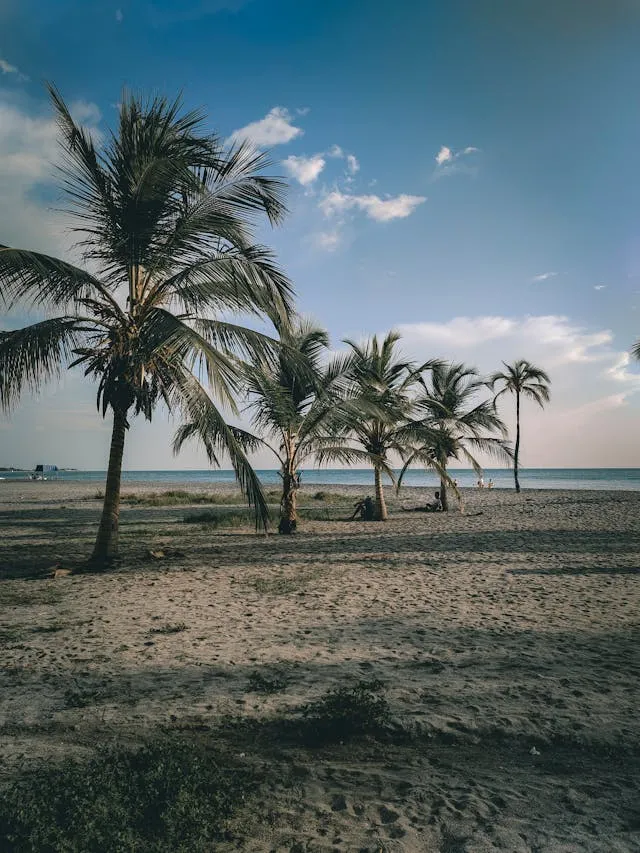 South Palm Beach 55+ Communities