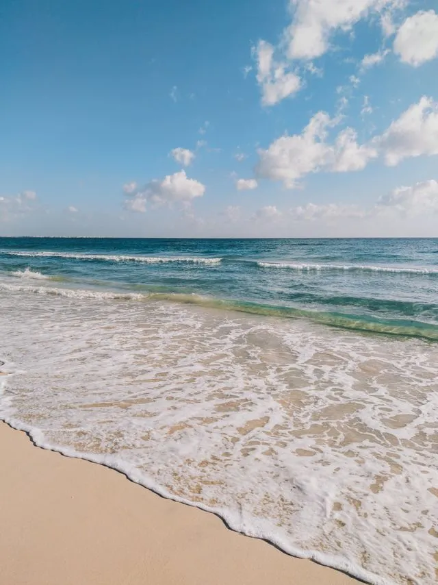 overview of Royal Palm Beach 55+ Communities